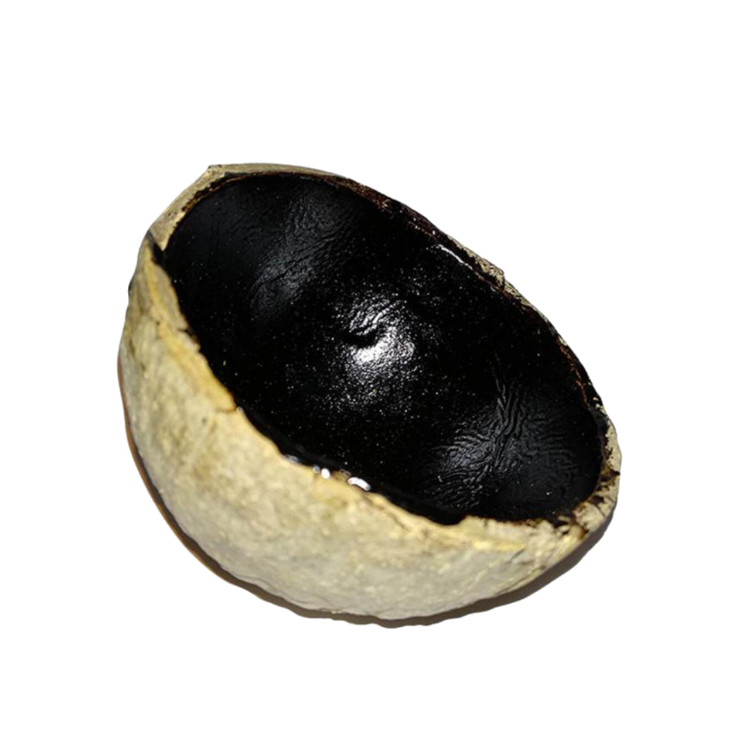 Coconut Shell Kajal / Vengai Pottu/ Drishti Pottu For Babies & Kids 1